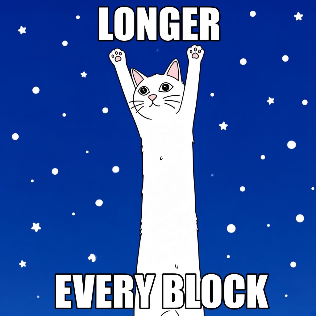 Longer every block meme